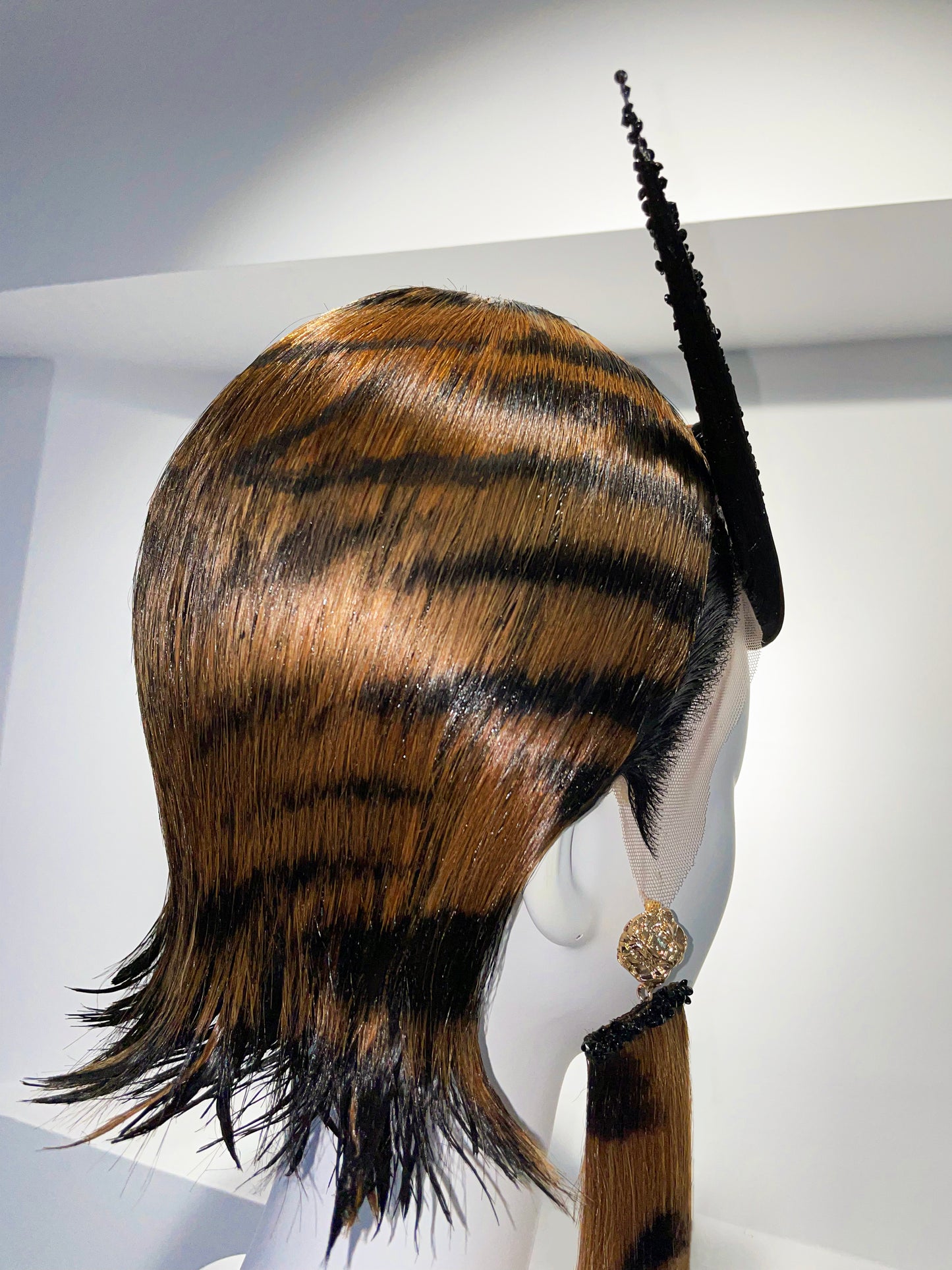 Africa Tiger