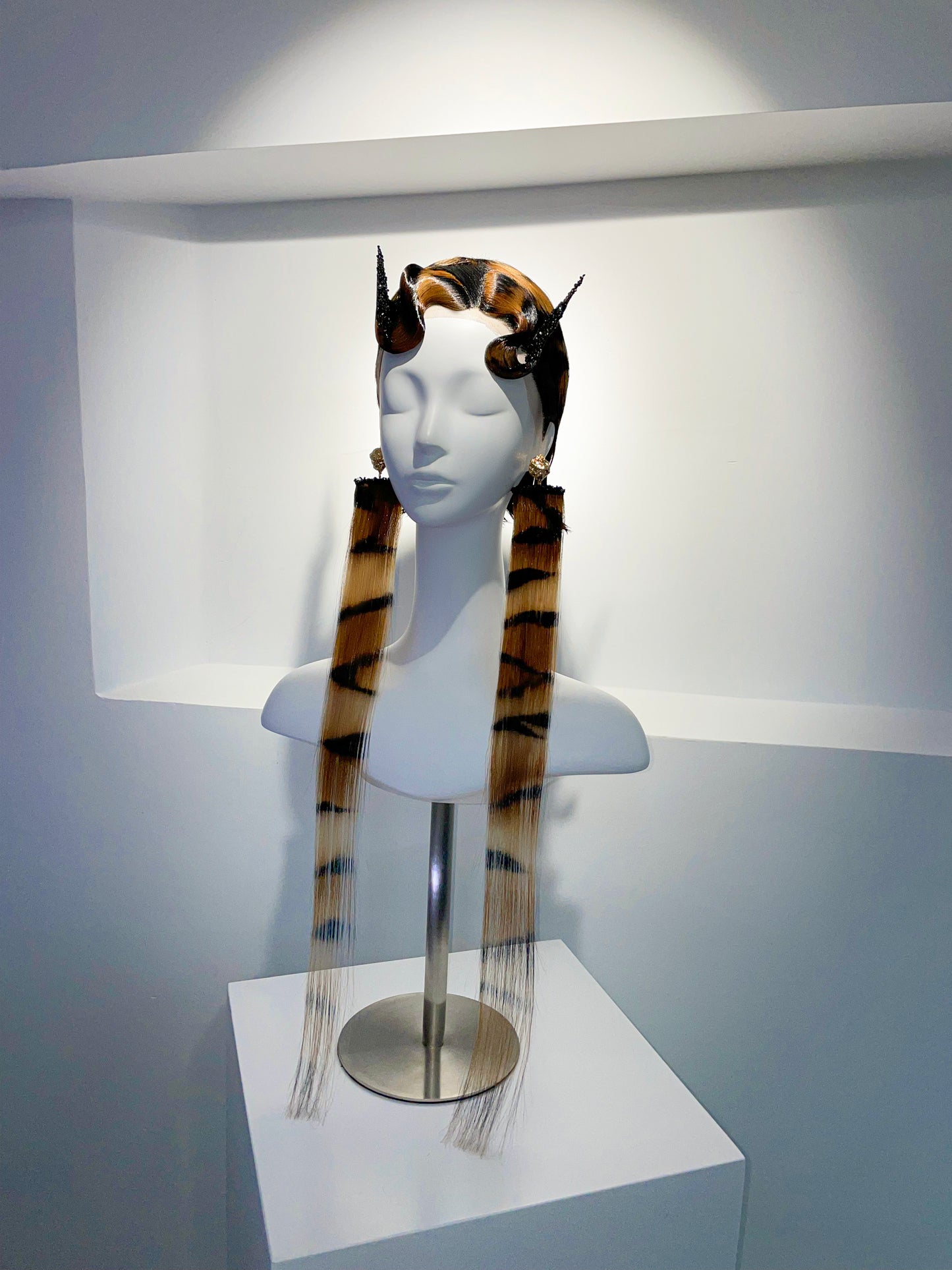 Africa Tiger